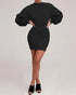 Lantern Sleeve Bodycon Pullover Sweatshirt Dress Crew Neck Mini Dress black
