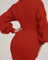 Lantern Sleeve Bodycon Pullover Sweatshirt Dress Crew Neck Mini Dress red