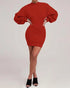 Lantern Sleeve Bodycon Pullover Sweatshirt Dress Crew Neck Mini Dress red